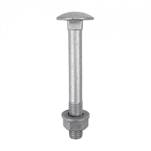 M10 x 130 Carriage Bolt Exterior - SO 10 PCS