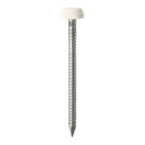 25mm Polymer Headed Pin WHITE 250 PCS - Screws & Fasteners