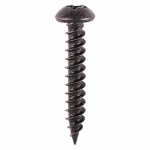 6 x 1 Blackjax Screw PZ2 RND Black 200 PCS